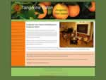 Tangerine Salon